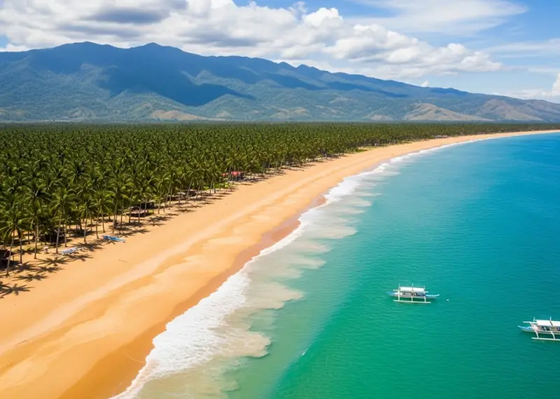 Drone view of Dahican Beach in Davao Oriental with curving golden sand, turquoise water, and mountains in the background.