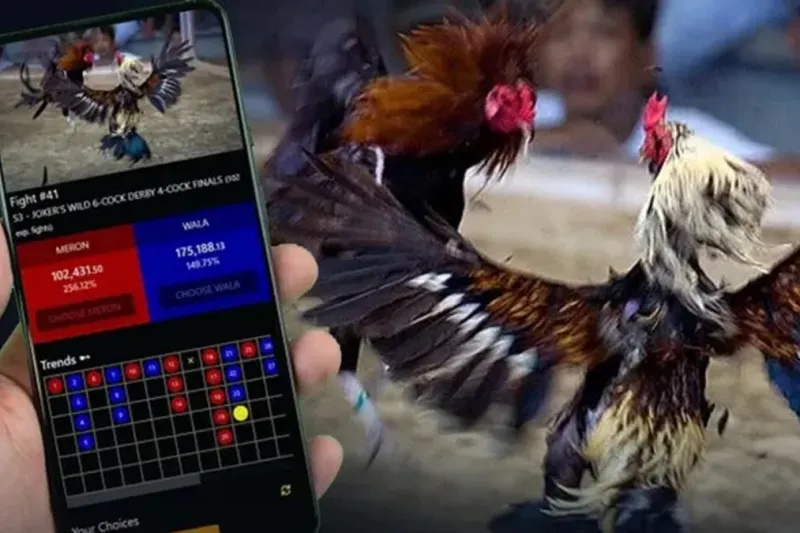 Game Fixing, Website Cloning, e-Sabong