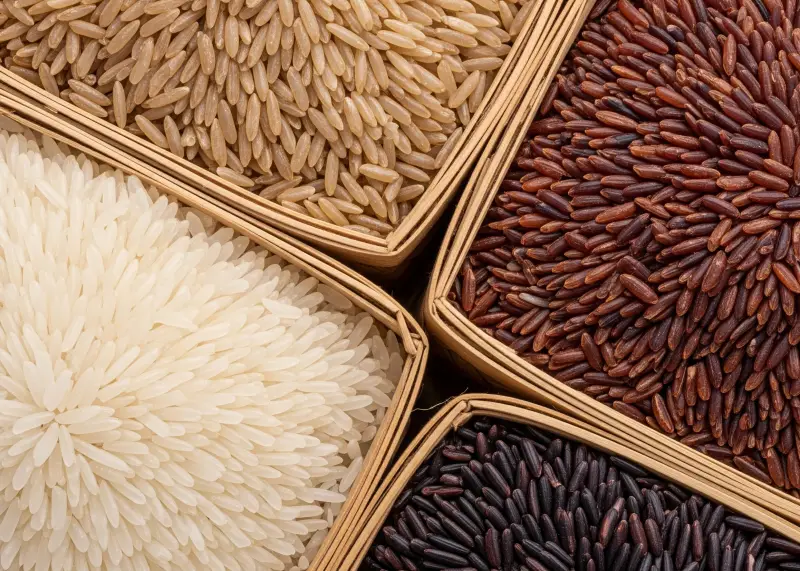 Close-up of different rice varieties—white, brown, red, and black—on bilao baskets.